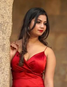 call girl service in Tarikere